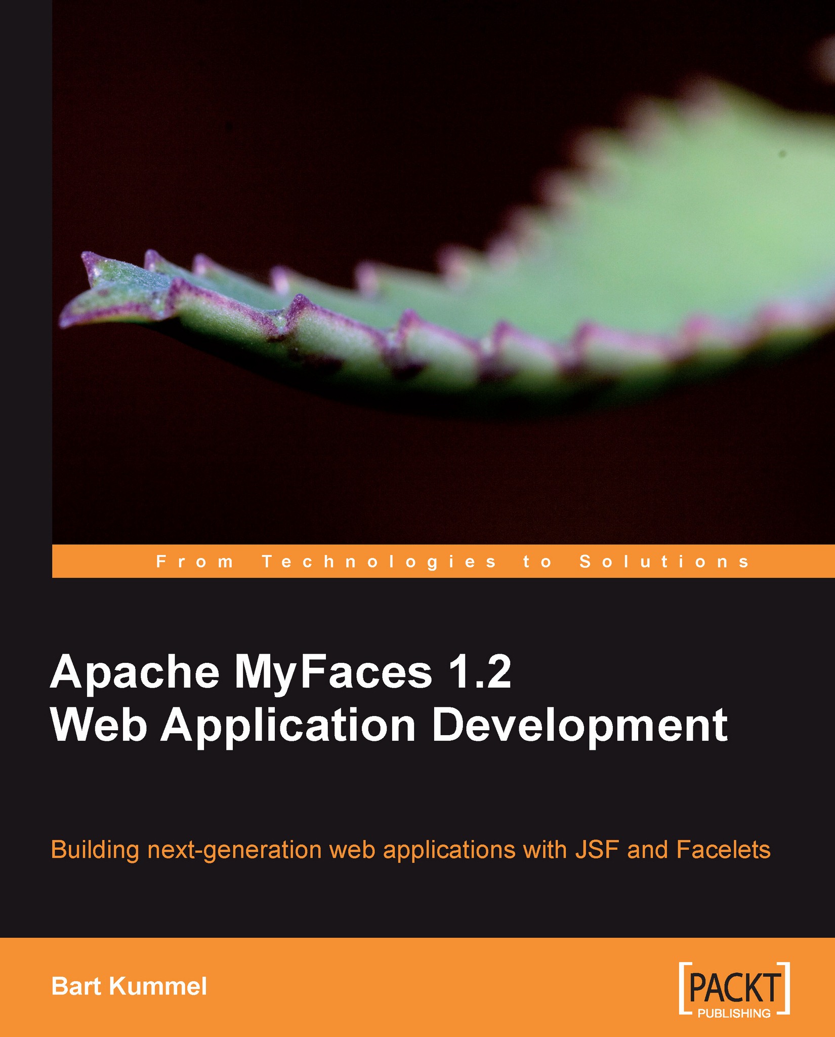 Apache MyFaces 1.2 Web Application Development