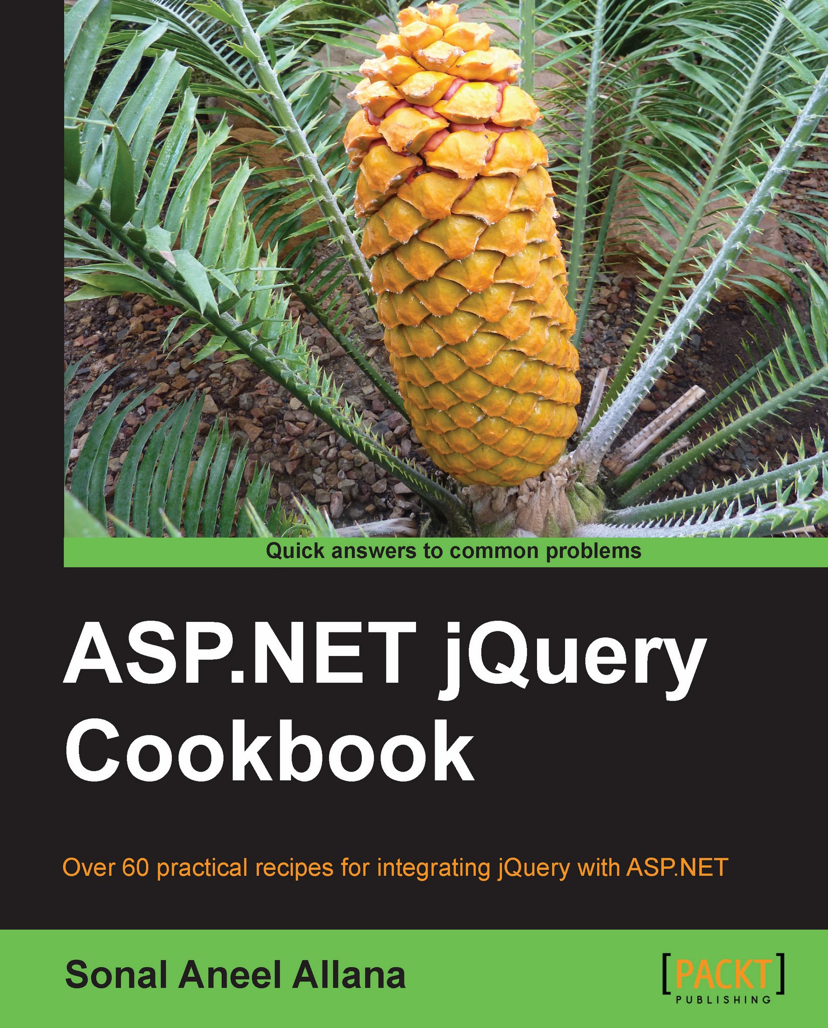 ASP.NET jQuery Cookbook | Web Development | eBook