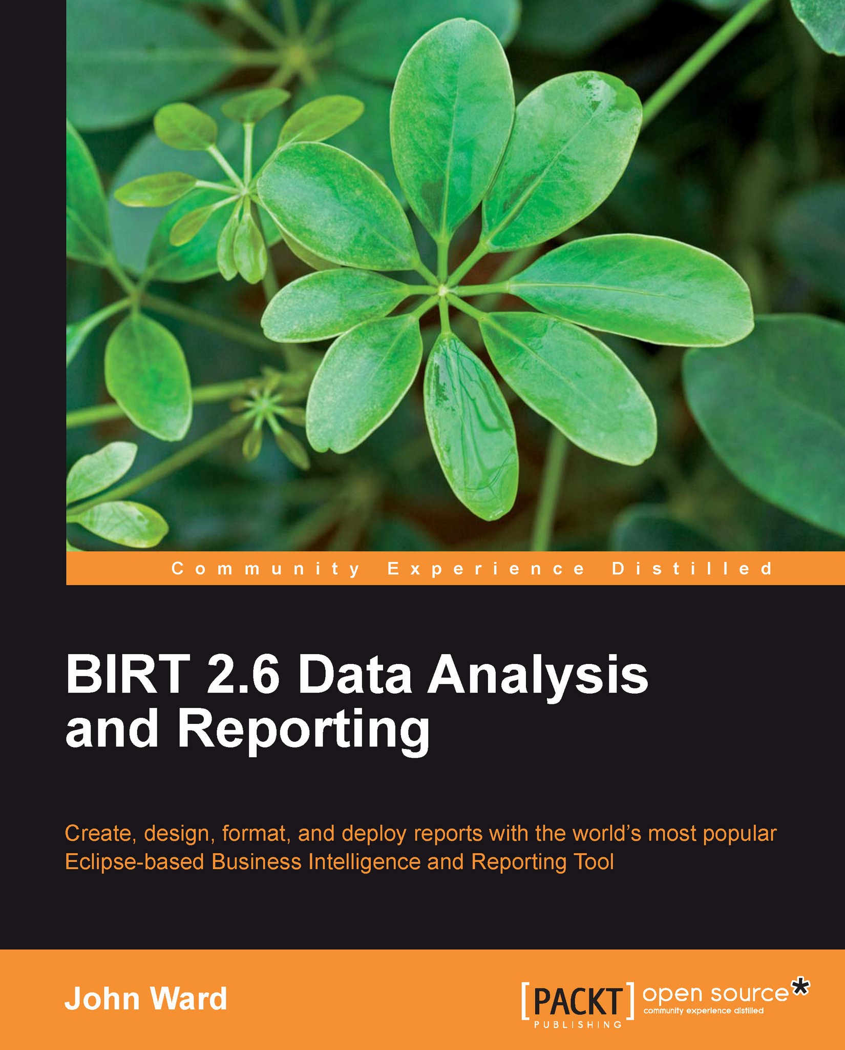 BIRT 2.6 Data Analysis and Reporting