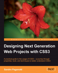 Designing Next Generation Web Projects with CSS3