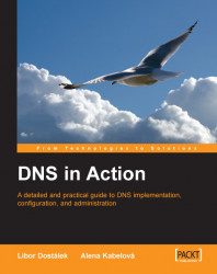 DNS in Action