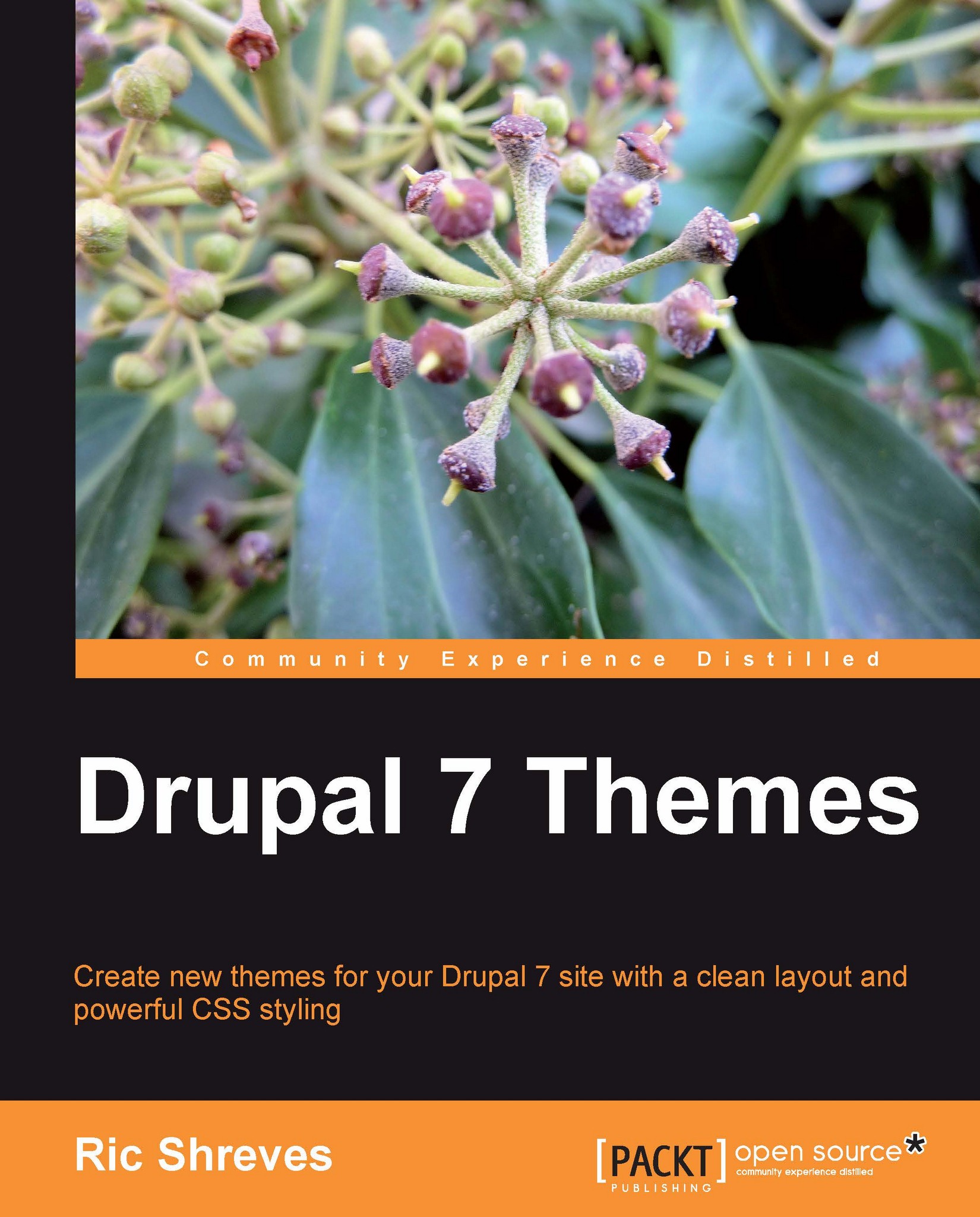 Drupal 7 Themes | Ebook | Web Development