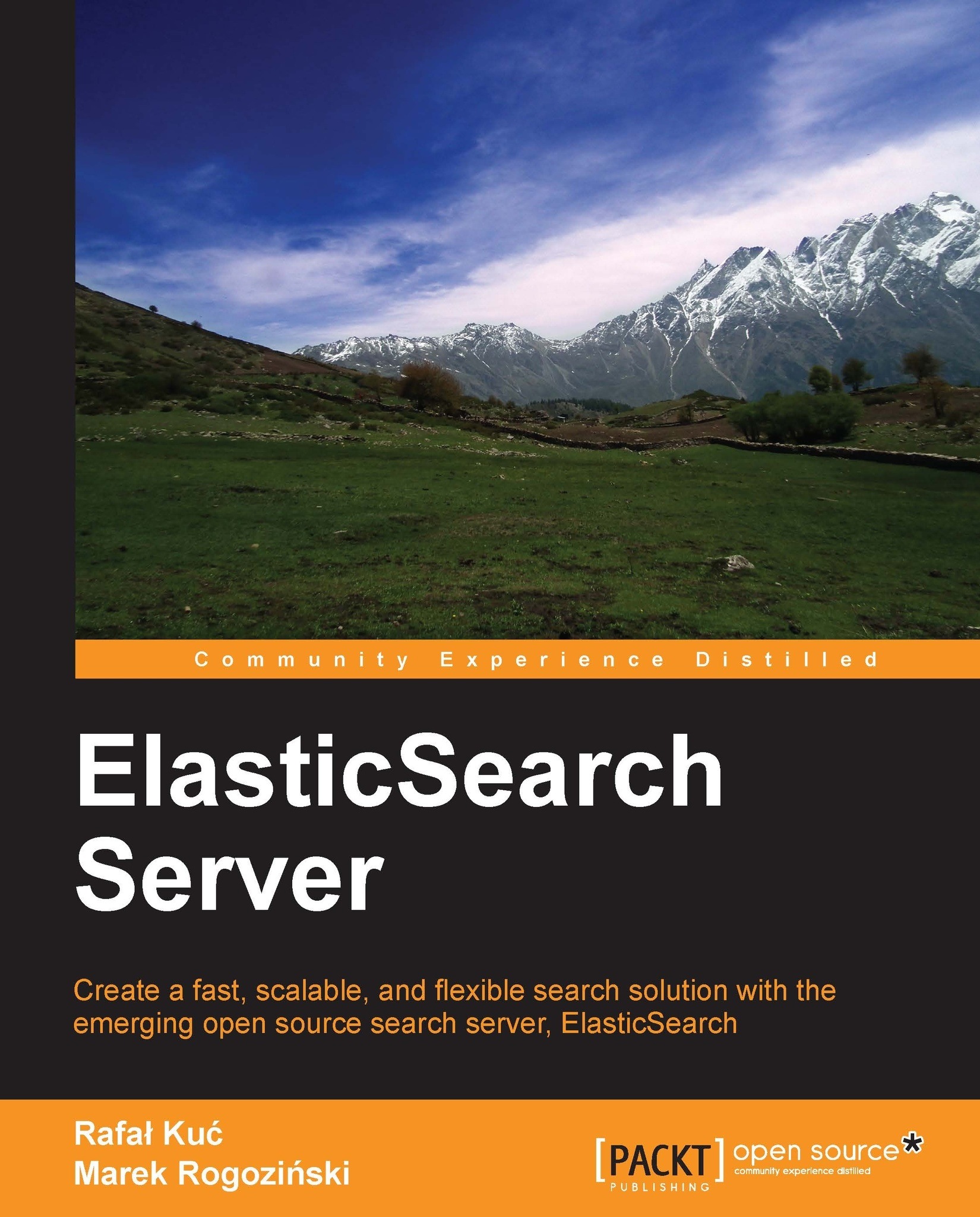 ElasticSearch Server