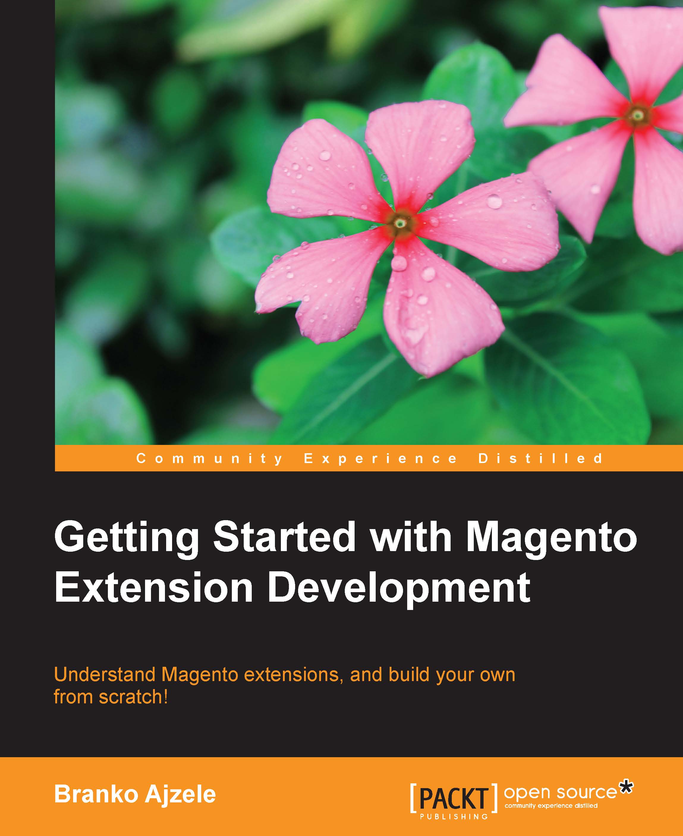 Getting Started with Magento Extension Development