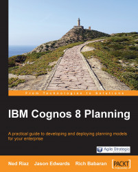 IBM Cognos 8 Planning