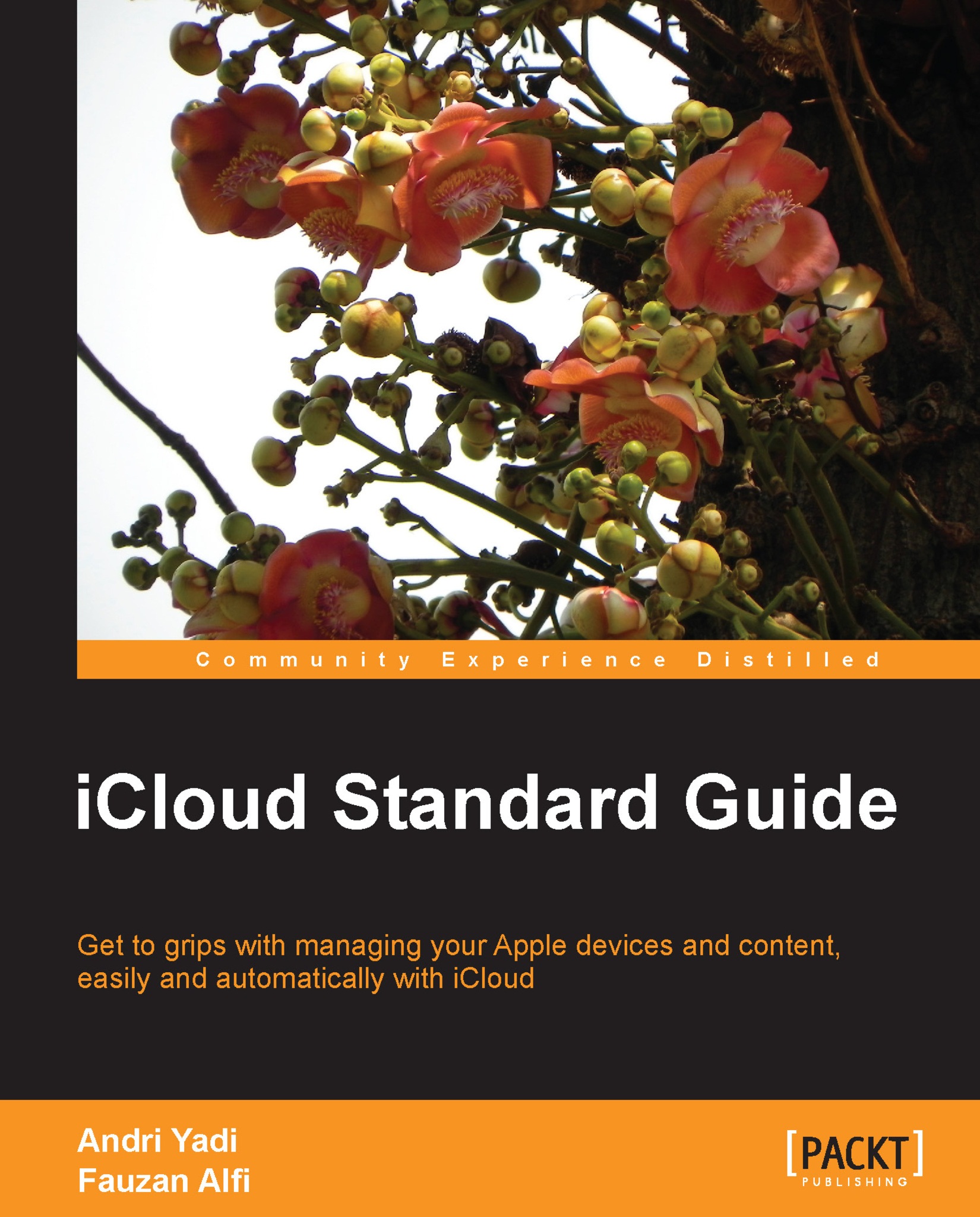 iCloud Standard Guide