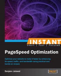 Instant PageSpeed Optimization