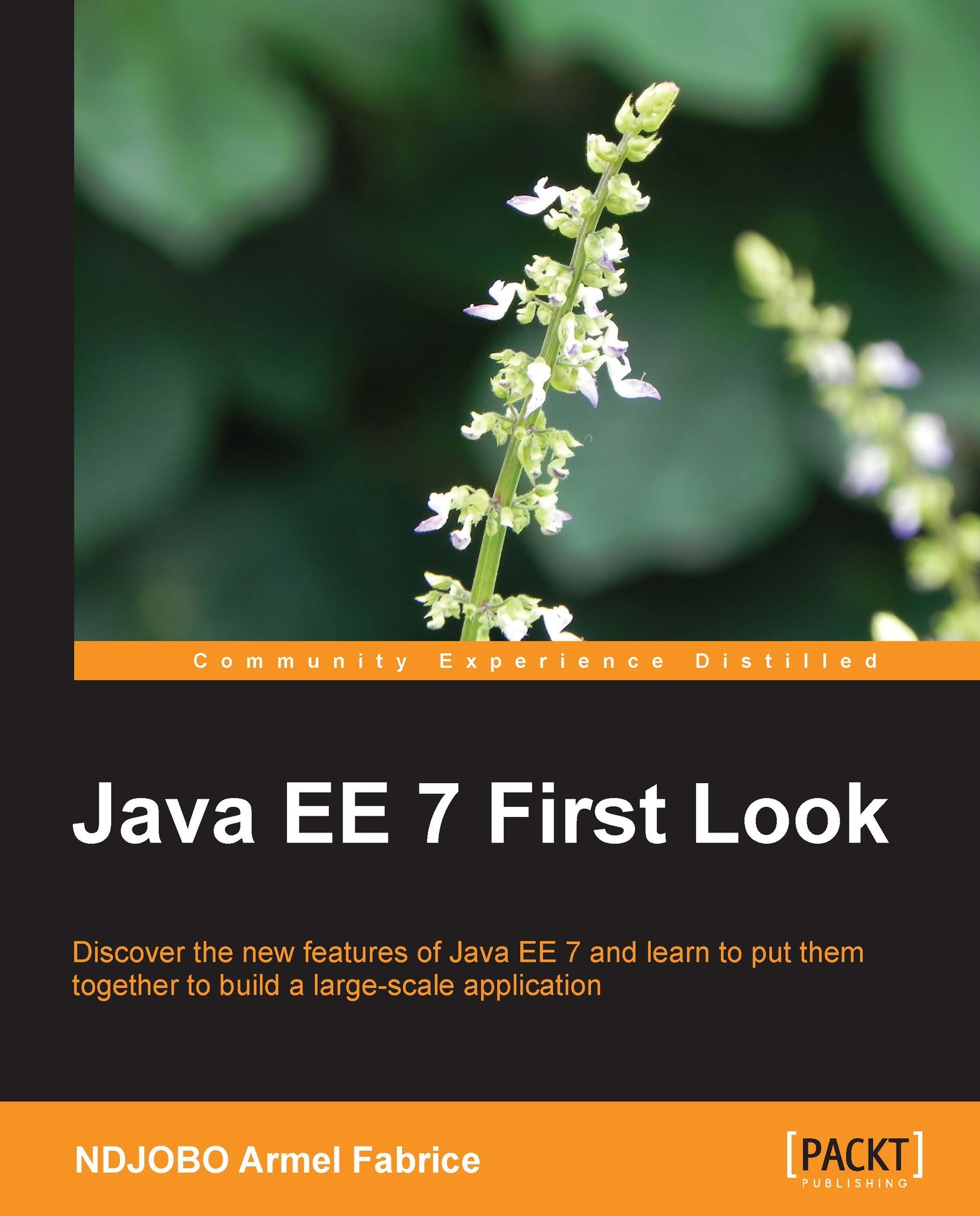 Java EE 7 First Look