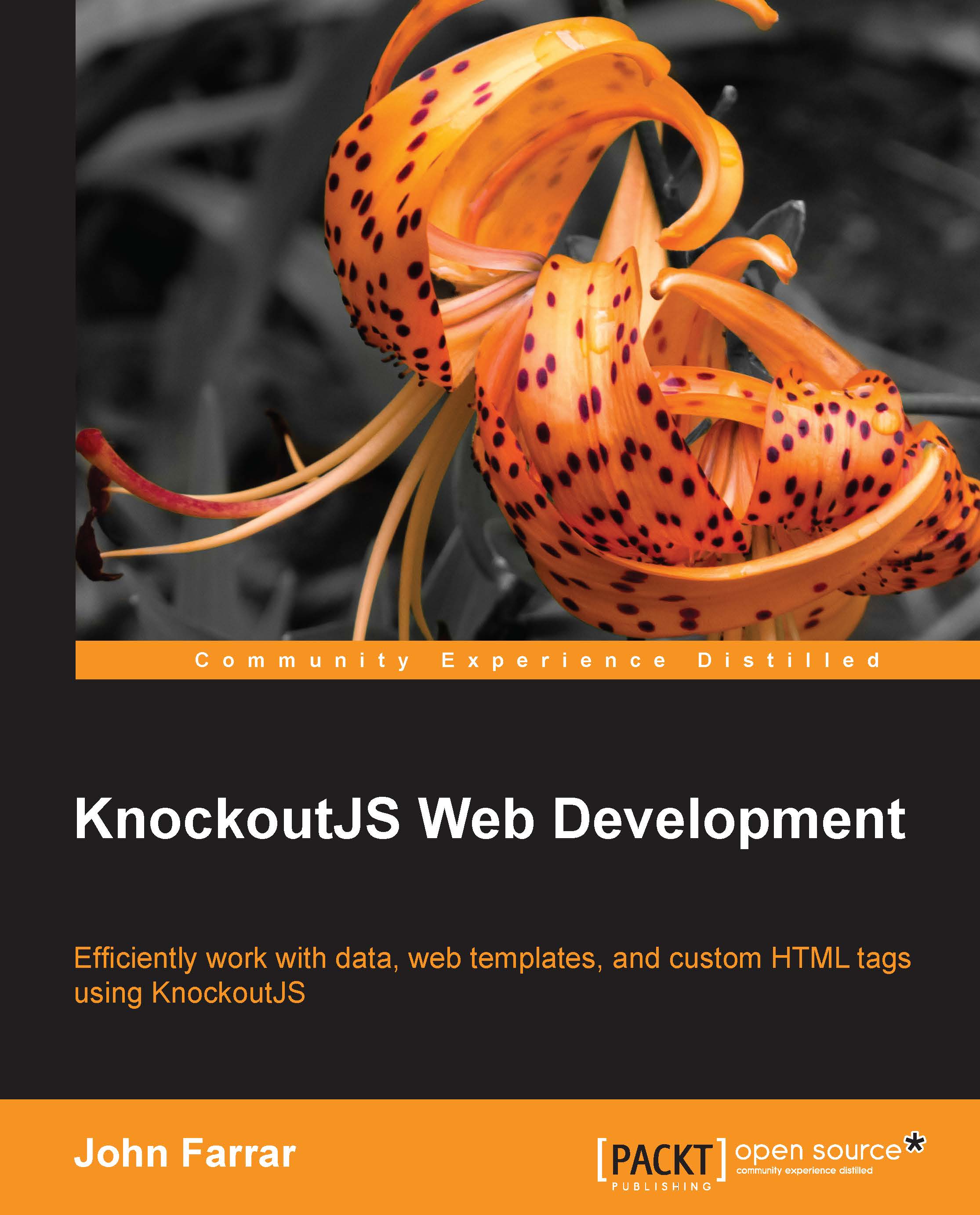 KnockoutJS Web Development