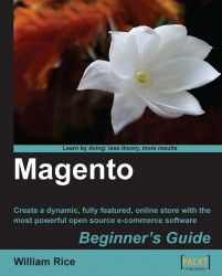Magento: Beginner's Guide