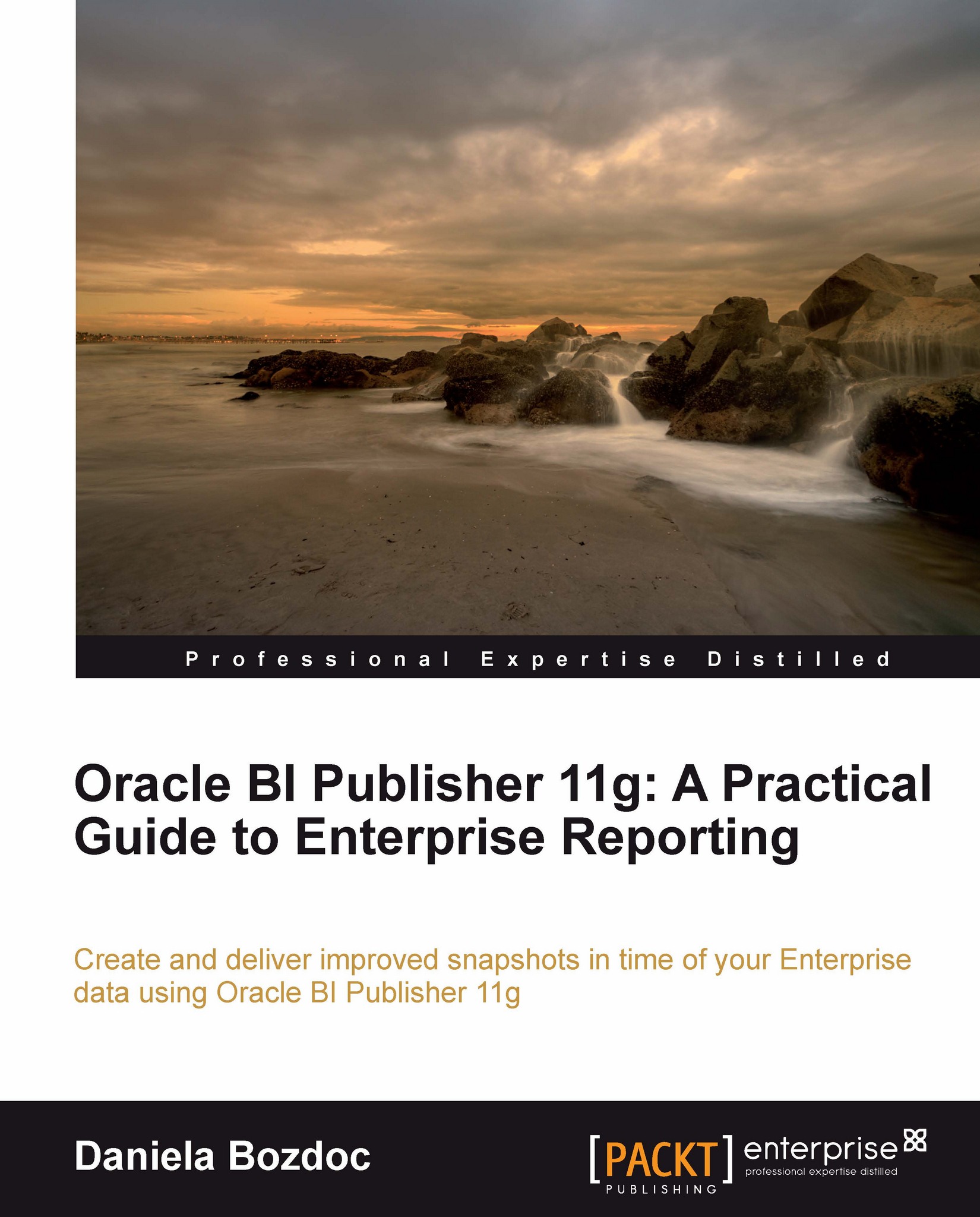 Oracle bi publisher