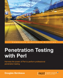 Penetration Testing with Perl