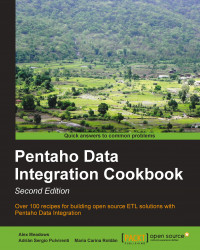 Pentaho Data Integration Cookbook - Second Edition