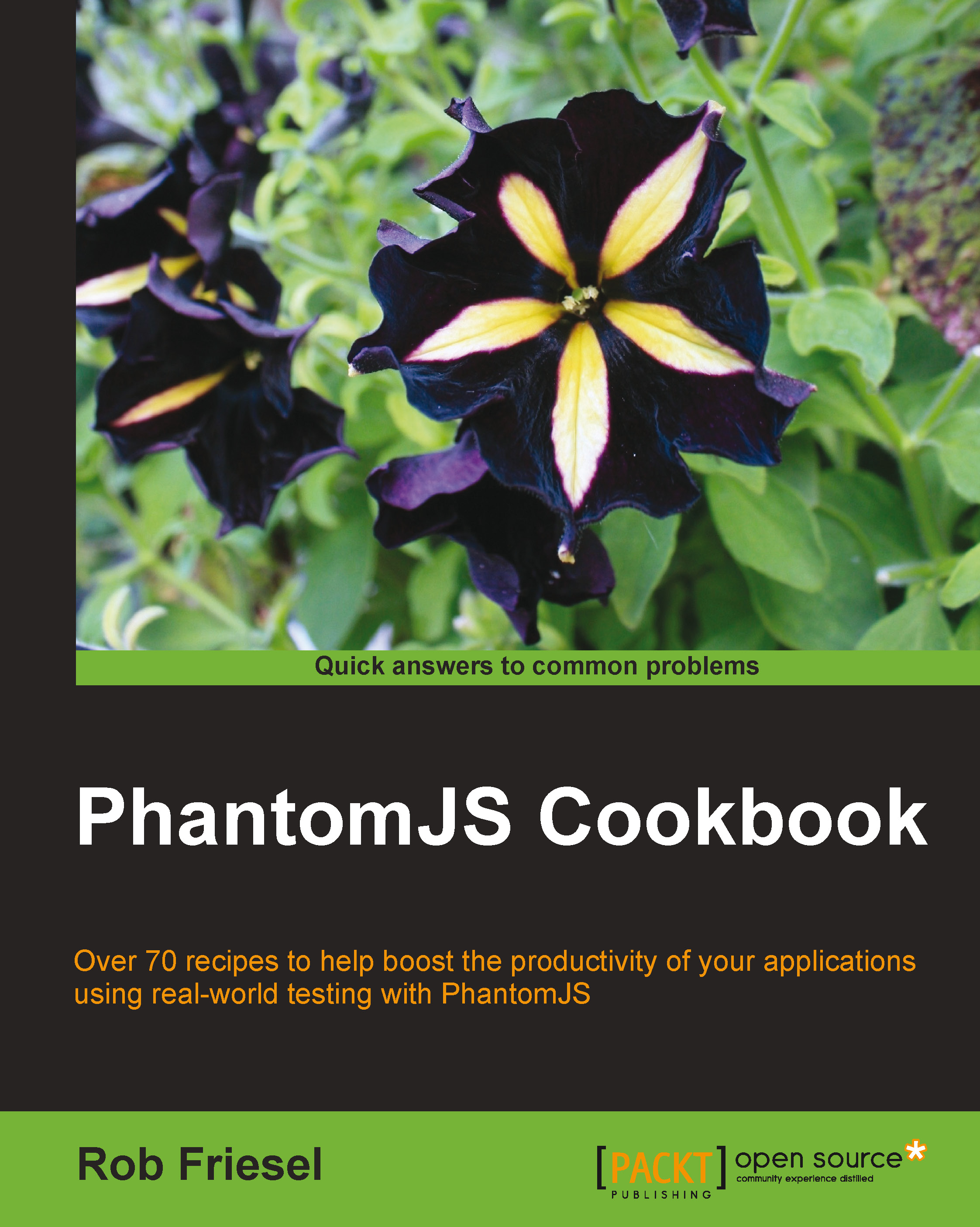 PhantomJS Cookbook