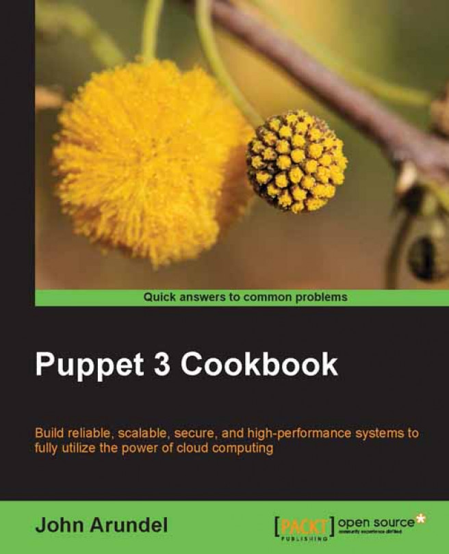 Puppet 3 Cookbook