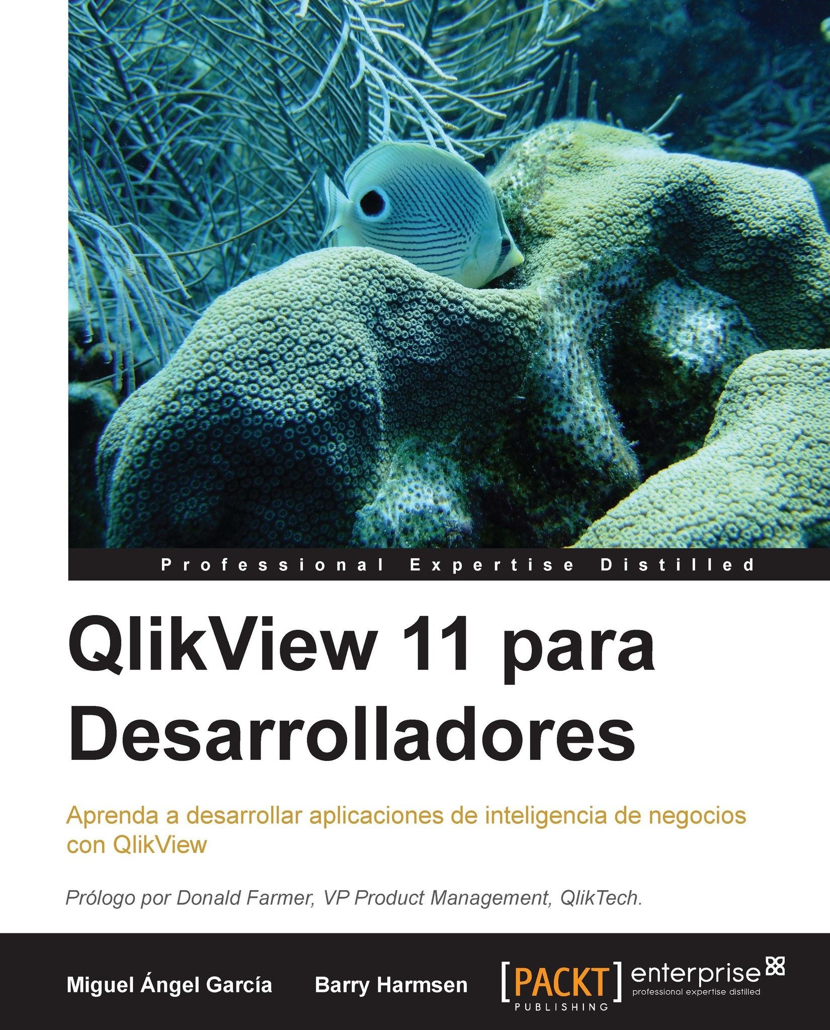 QlikView 11 para Desarrolladores (Espanol)