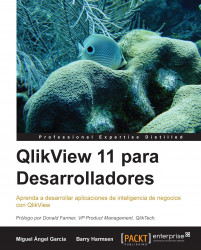 QlikView 11 para Desarrolladores (Espanol)