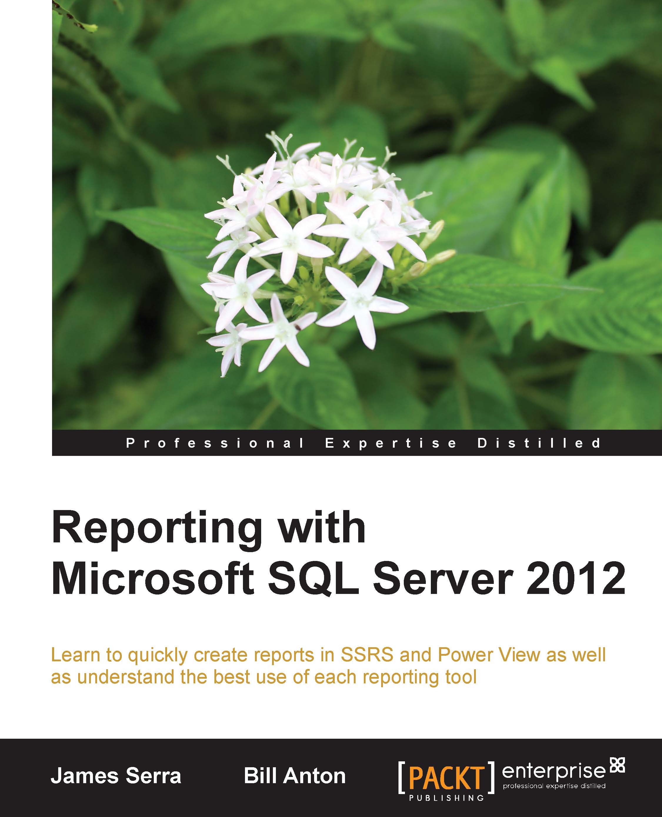 Getting Started with Reporting | Reporting with Microsoft SQL Server 2012