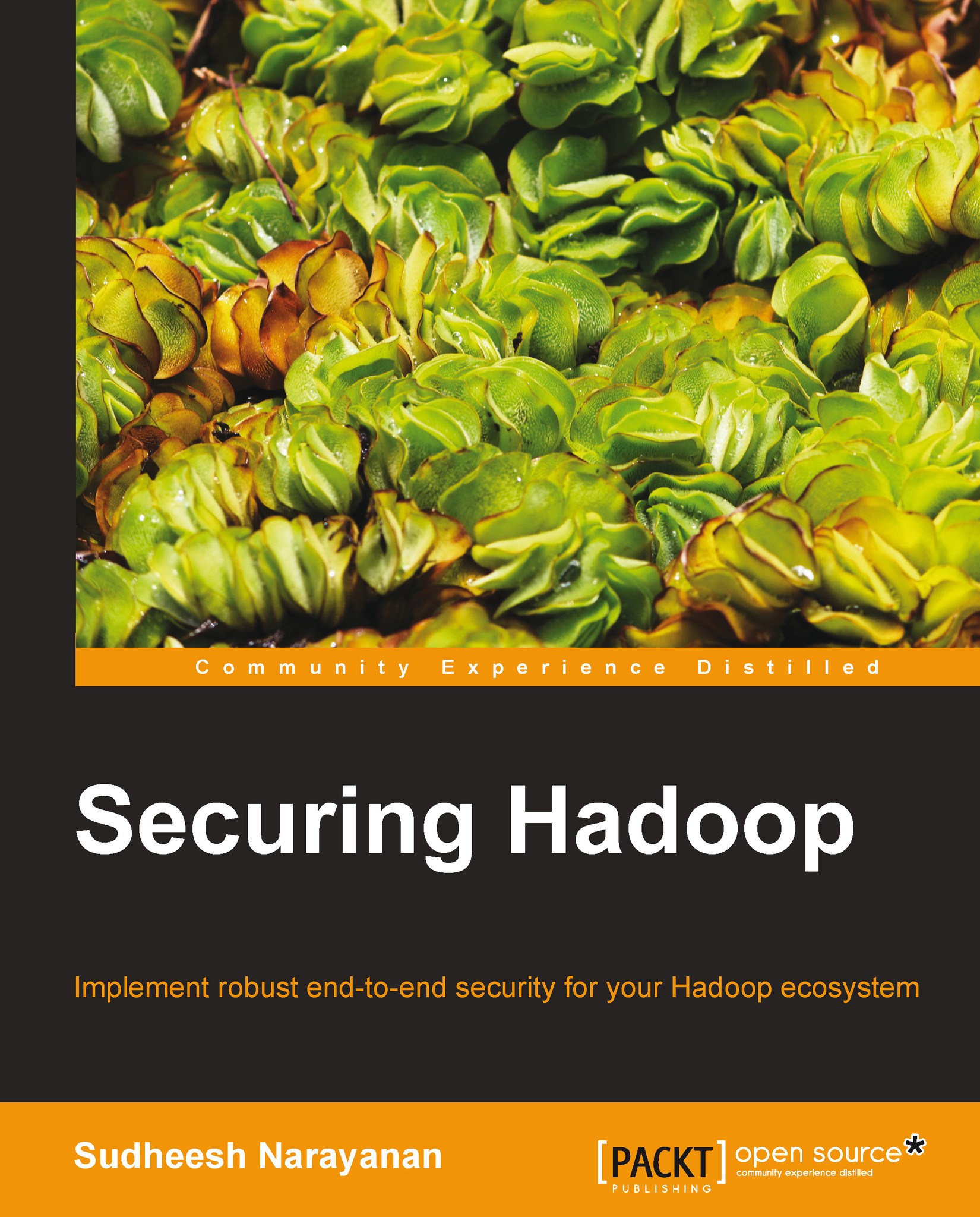 Securing Hadoop