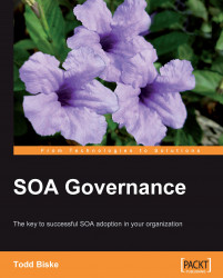SOA Governance