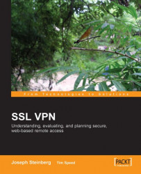 SSL VPN : Understanding, evaluating and planning secure, web-based remote access