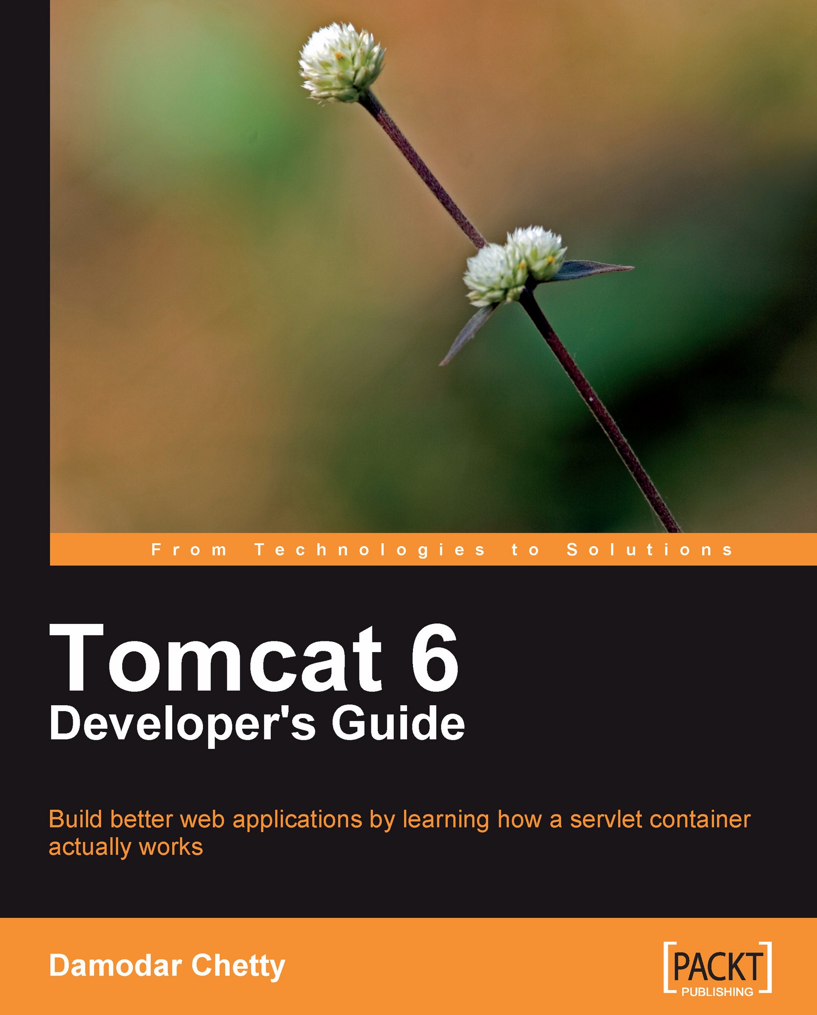 Tomcat 6 Developer's Guide