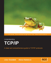 Understanding TCP/IP