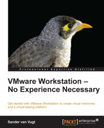 VMware Workstation - No Experience Necessary