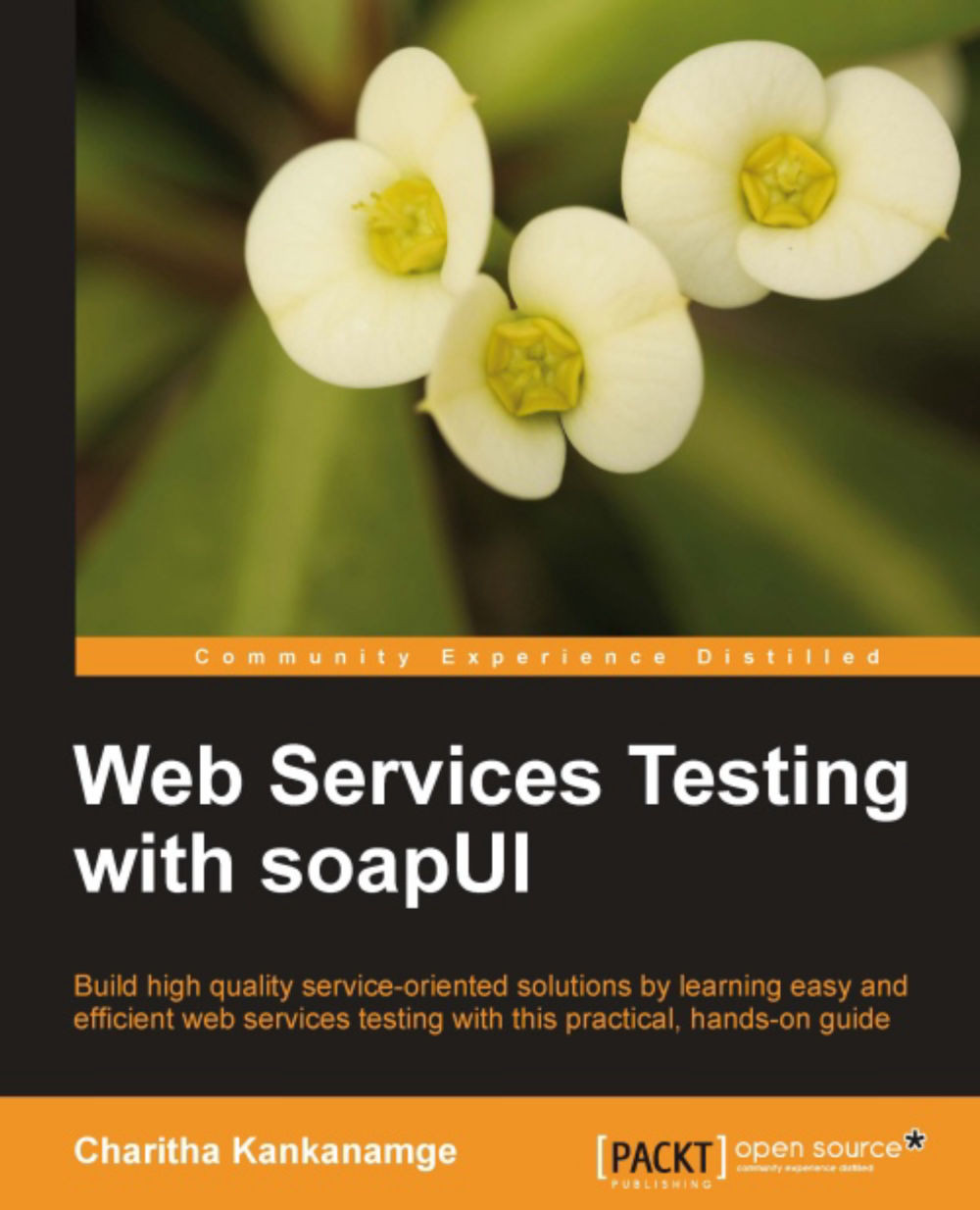 Web Services Testing with soapUI