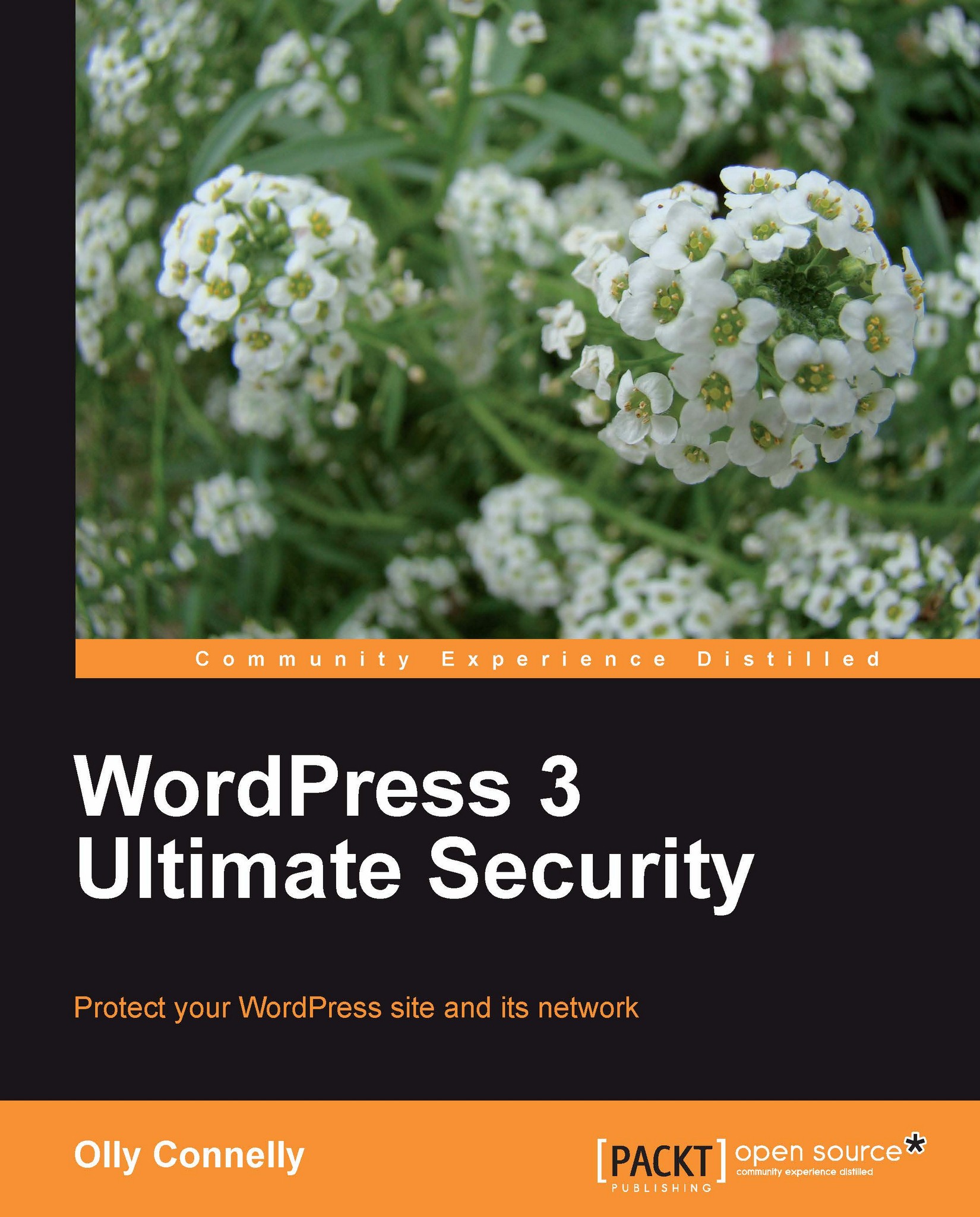 WordPress 3 Ultimate Security