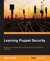 Learning Puppet Security