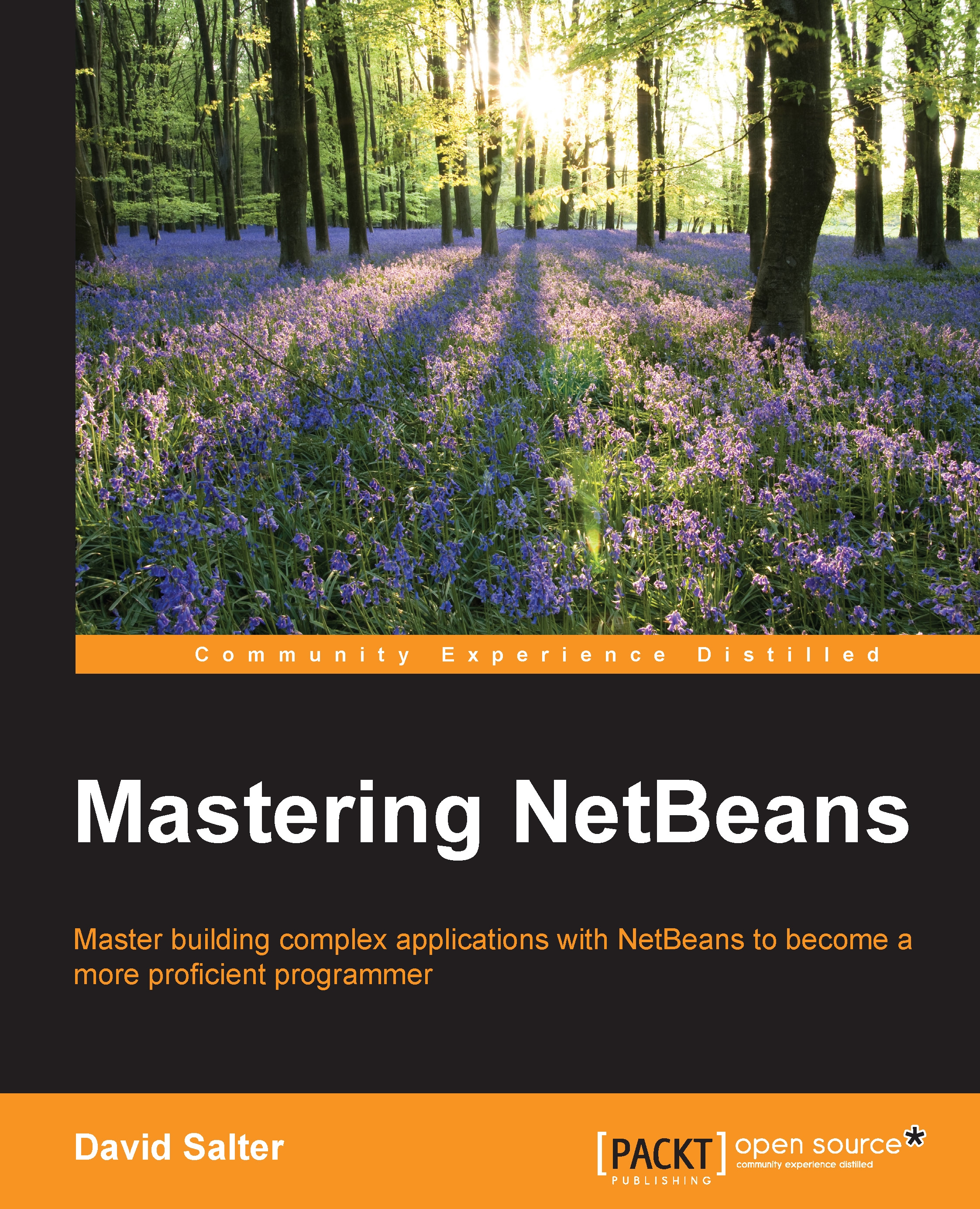 Mastering Netbeans
