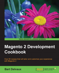 Magento 2 Development Cookbook