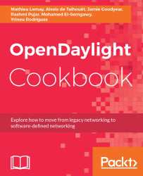 Free eBook - OpenDaylight Cookbook
