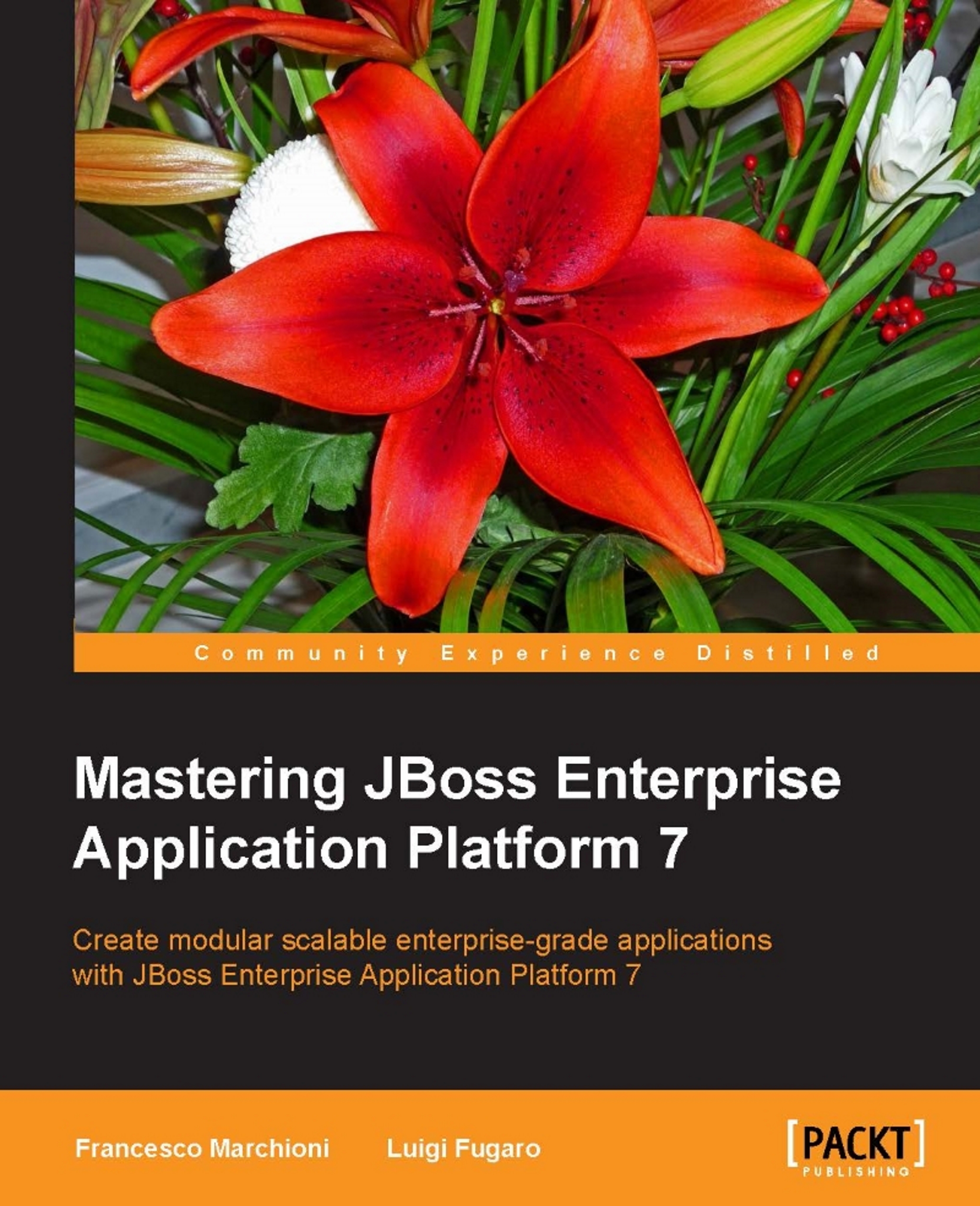 Mastering JBoss Enterprise Application Platform 7