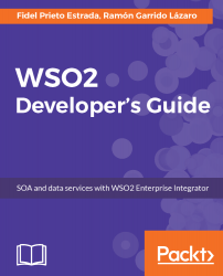 WSO2 Developer's Guide