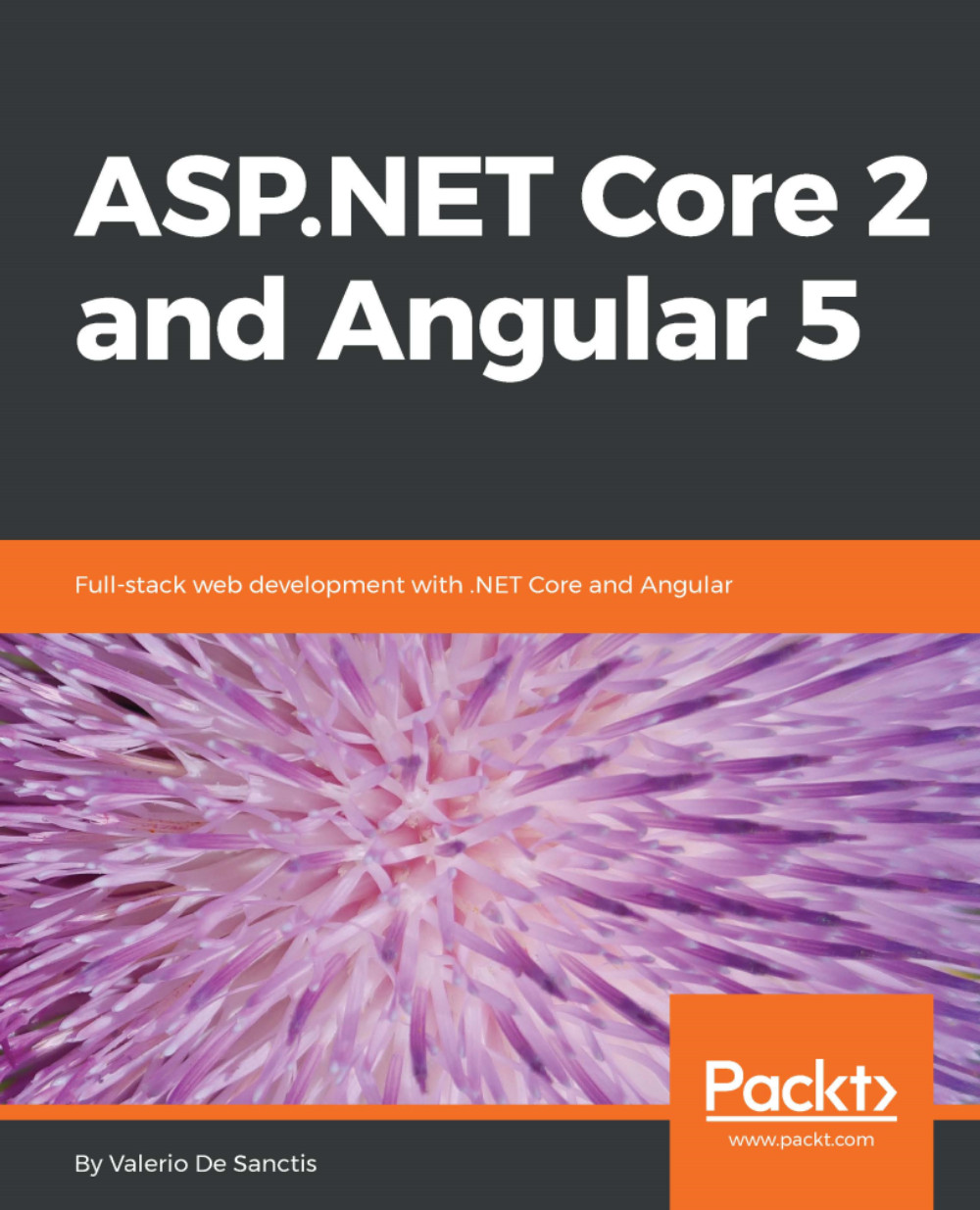 ASP.NET Core 2 and Angular 5