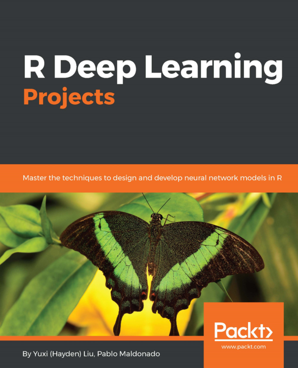 R Deep Learning Projects