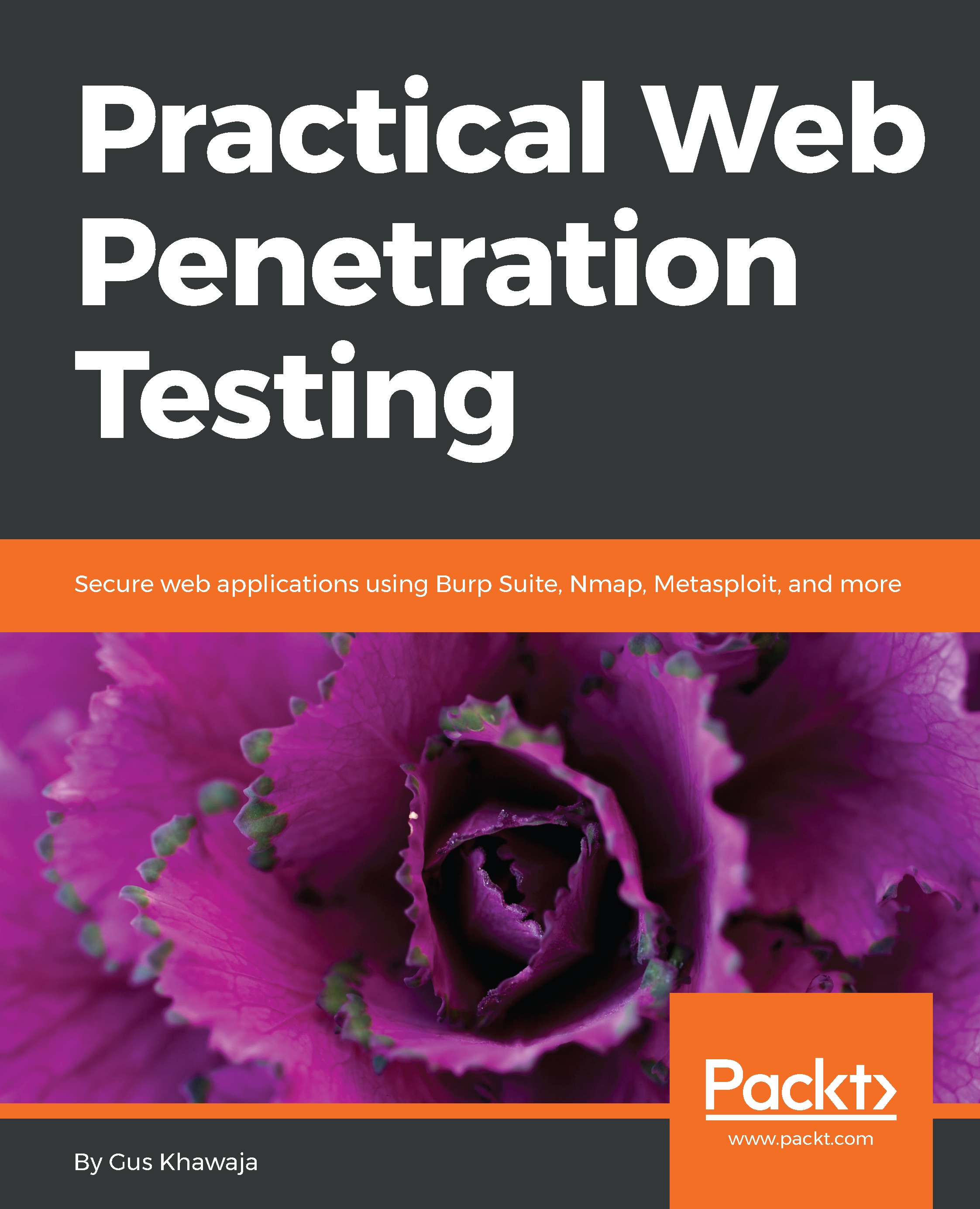 Mastering Kali Linux for Advanced Penetration Testing eBook by Vijay Kumar  Velu - EPUB Book | Rakuten Kobo India