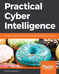 Practical Cyber Intelligence