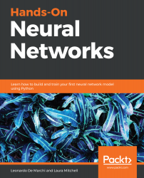 Hands-On Neural Networks