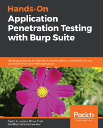 Hands-On Application Penetration Testing with Burp Suite