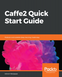 Caffe2 Quick Start Guide