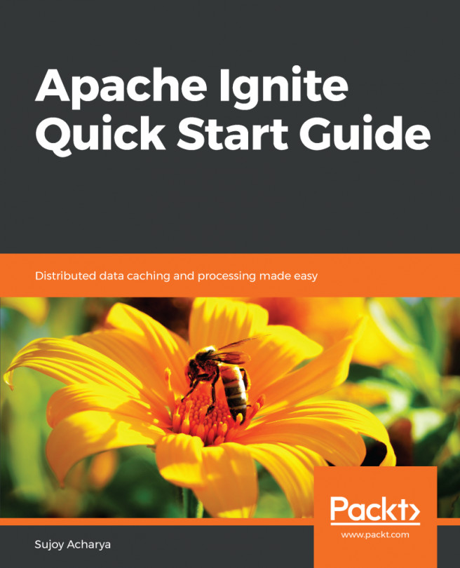 Apache Ignite Quick Start Guide