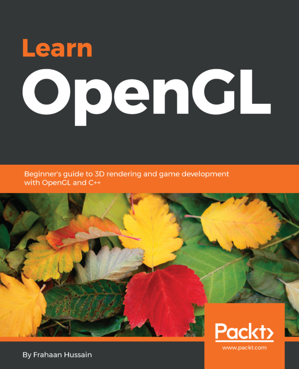 Learn OpenGL | Game Development | eBook