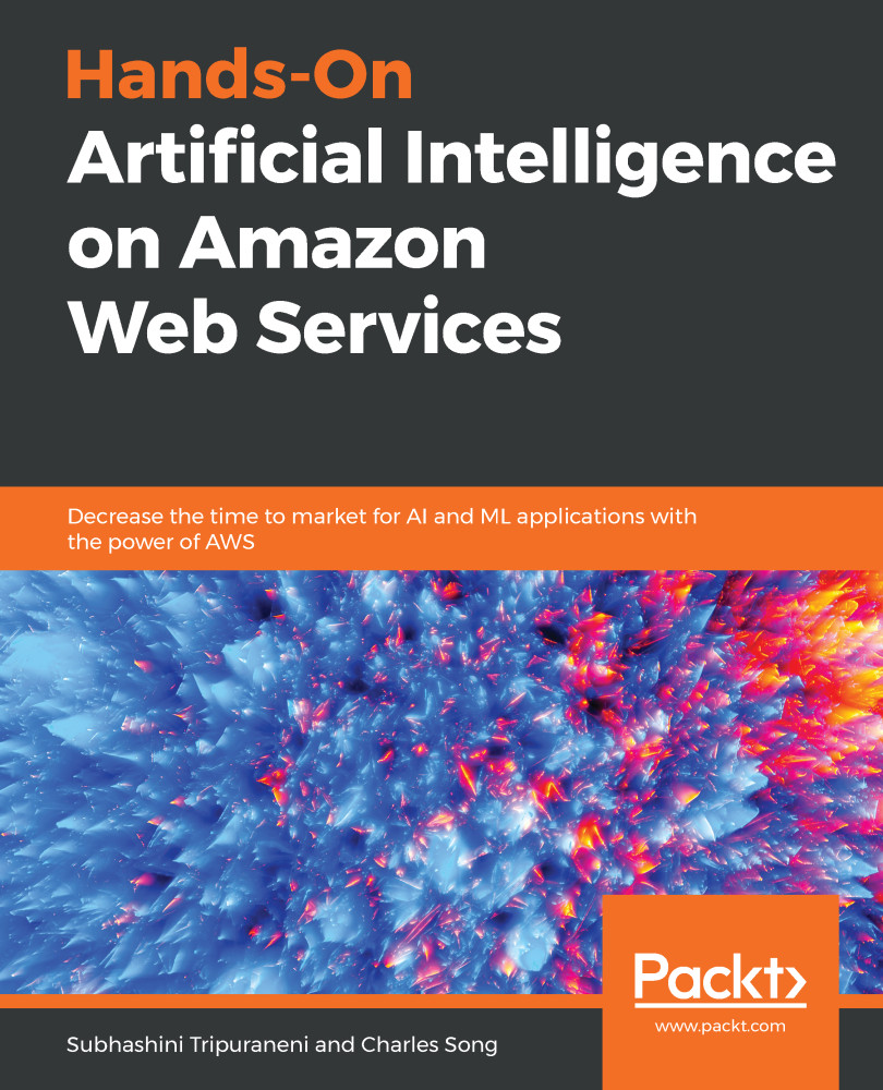 Hands-On Artificial Intelligence on Amazon Web Services