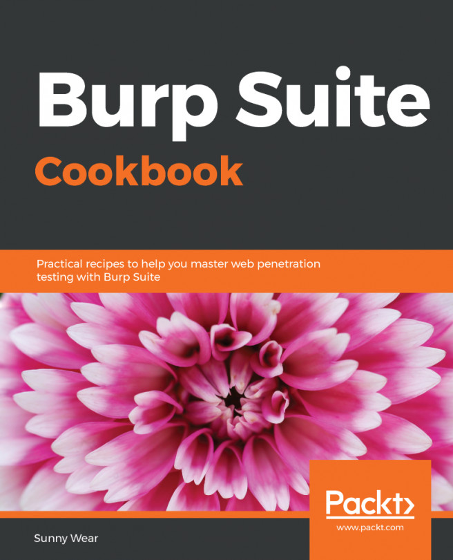 Burp Suite Cookbook.