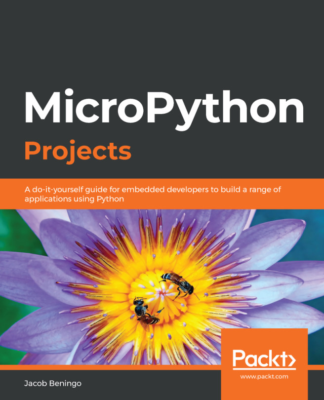 Down the Rabbit Hole with MicroPython | MicroPython Projects
