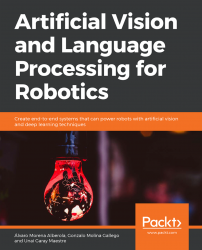 Artificial Vision and Language Processing for Robotics