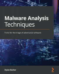 Malware Analysis Techniques